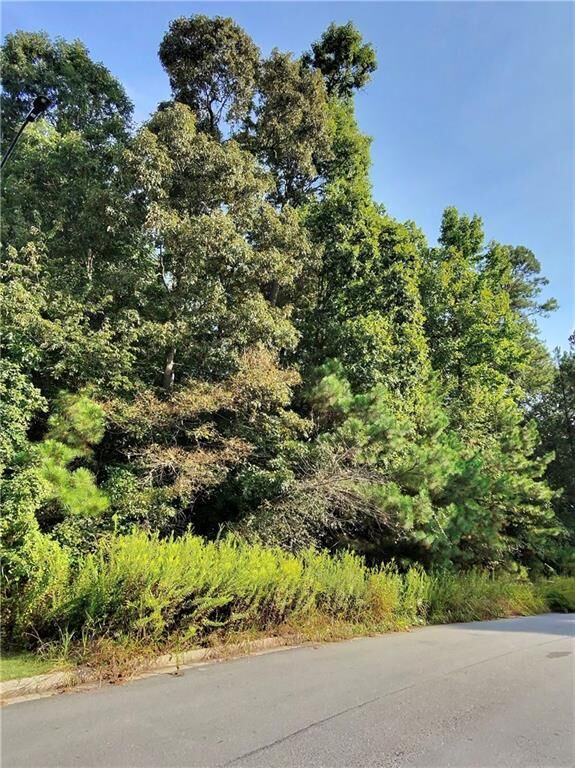 Property Photo: 187 Mary Hill Lane GA 30134