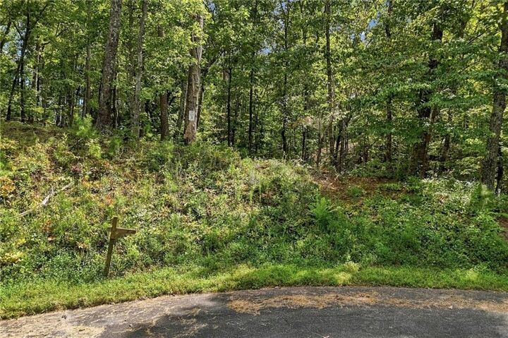 Property Photo:  3 Turkey Spur Drive  GA 30540 