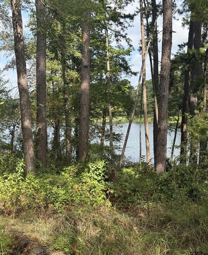 Property Photo:  13254 County Road 468  TX 75704 