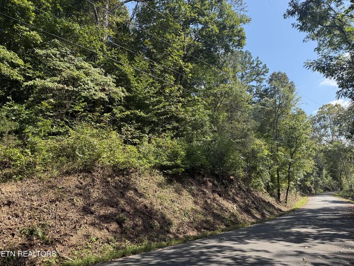 Property Photo:  Community Park Rd  TN 37865 