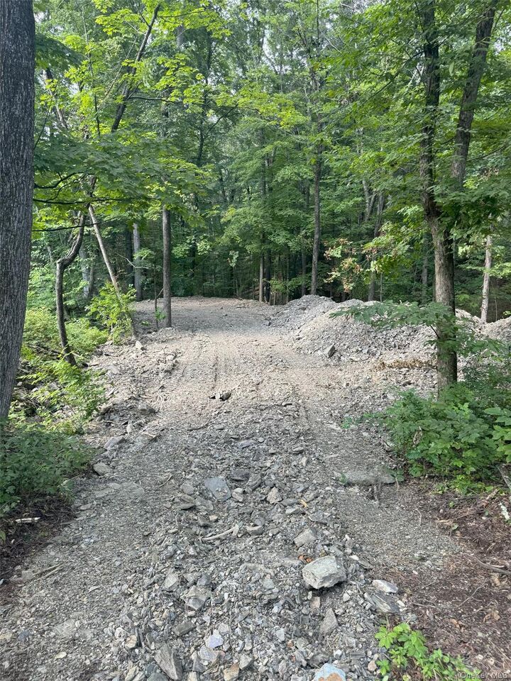 Property Photo:  Lot 510455 Creek Road  NY 12569 
