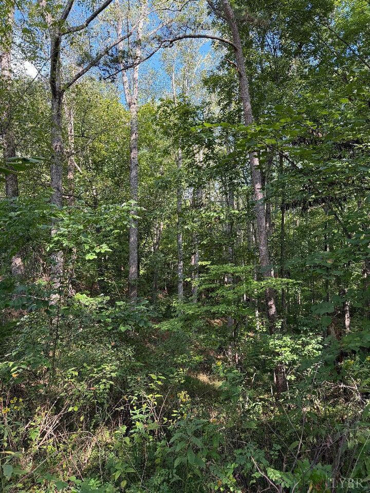 Property Photo:  0 Oakville Road  VA 24593 