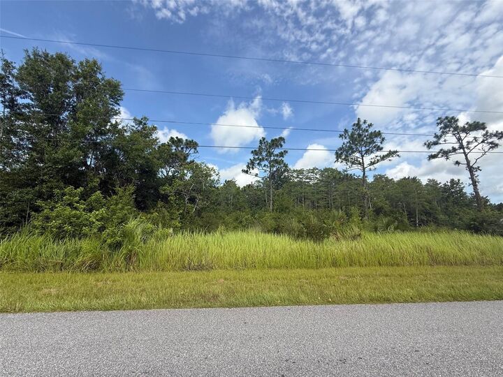 Property Photo: Topeka Avenue FL 34773