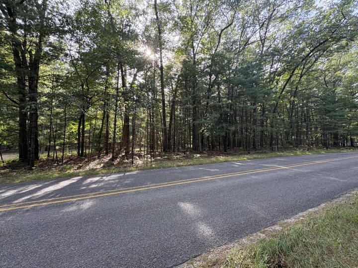 Property Photo:  Lot 136 Wayne Avenue  MI 49449 