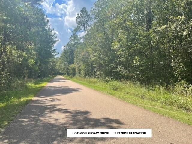 Property Photo:  Lot #90 Fairway Drive  LA 70420 