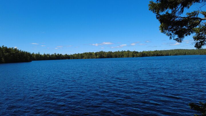 Property Photo:  Lot Vinegar Lake Road  NS B0J 1T0 