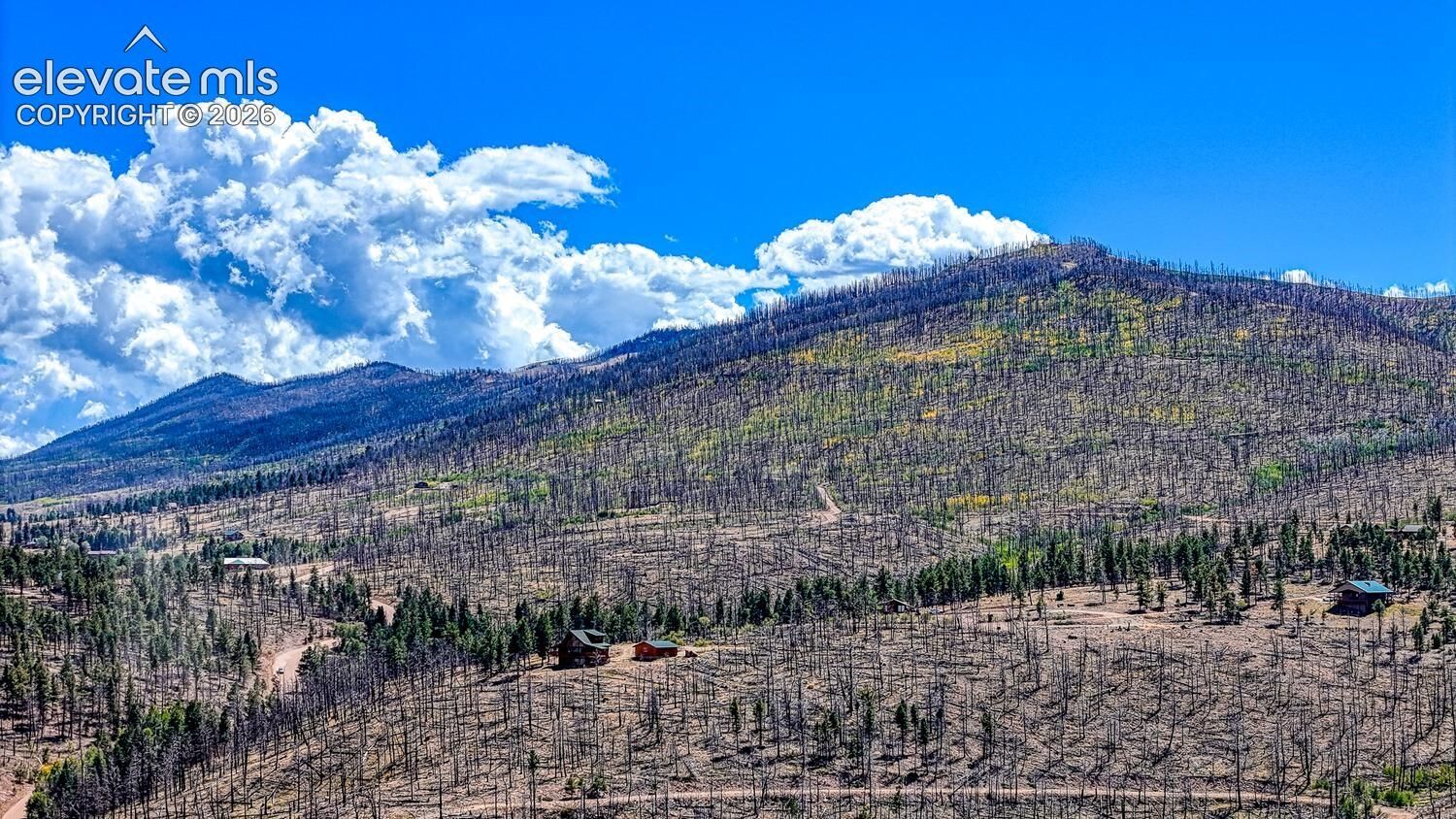Property Photo:  Lot 228 Forbes Park Road  CO 81133 
