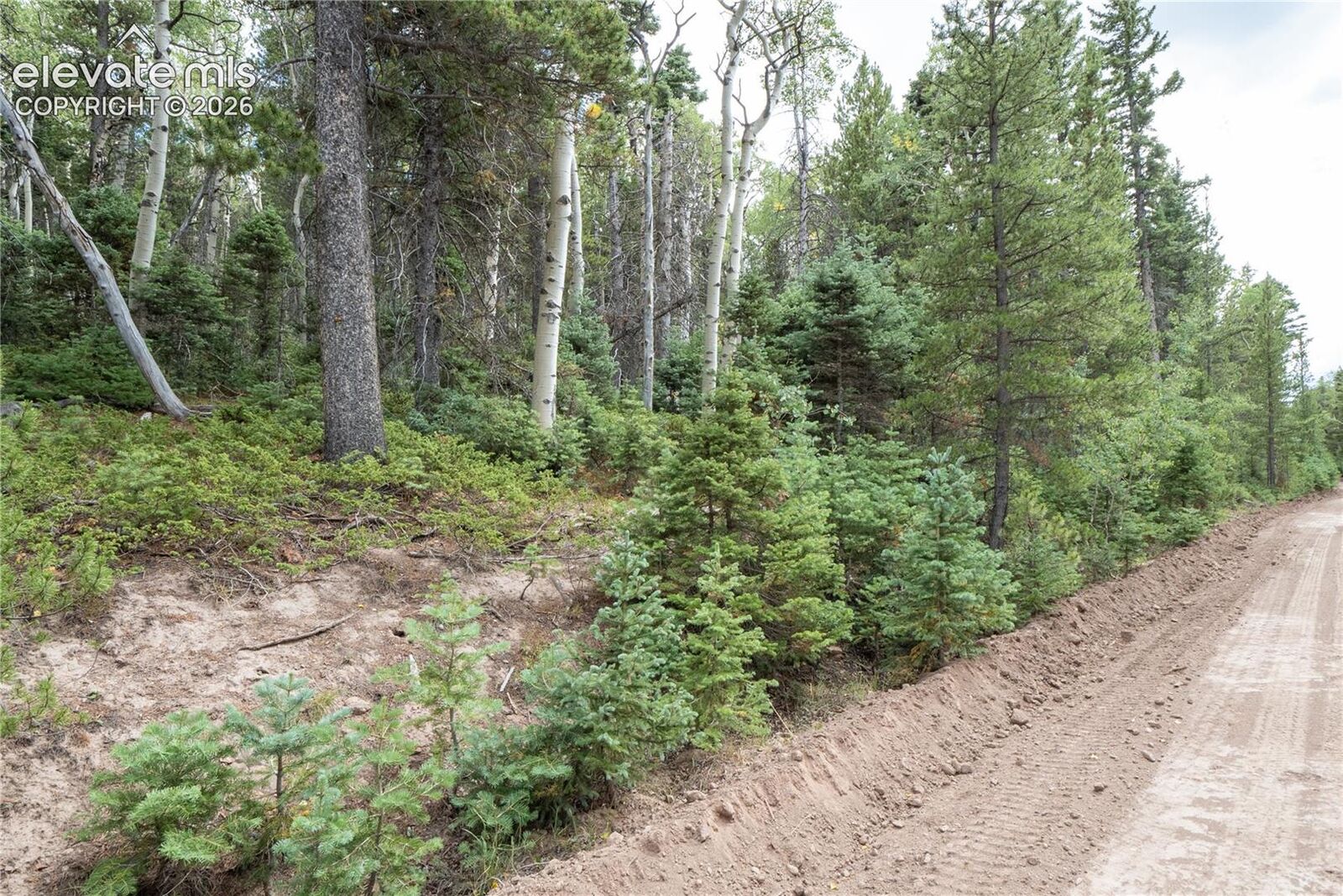 Property Photo:  Lot 2660 Speciale Place  CO 81133 