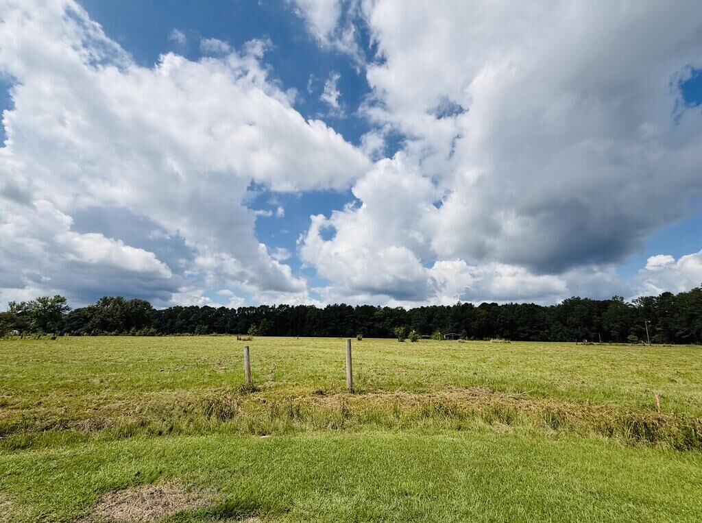 Property Photo: 25 Rack Rd Tract 4 MS 39466