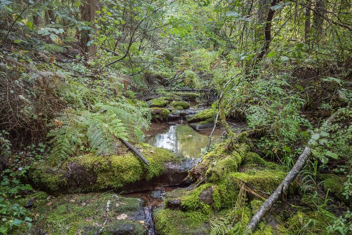 Property Photo:  Nka E Temple Rd  WA 99217 