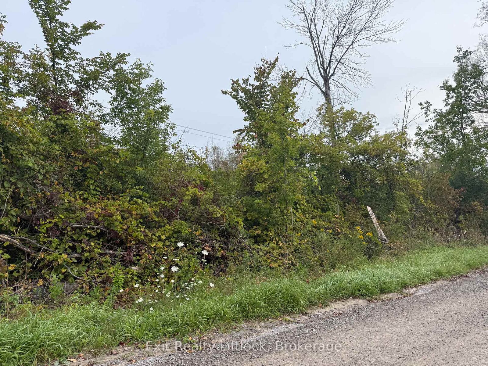 Property Photo:  00 Bagley Road  ON K0K 3K0 