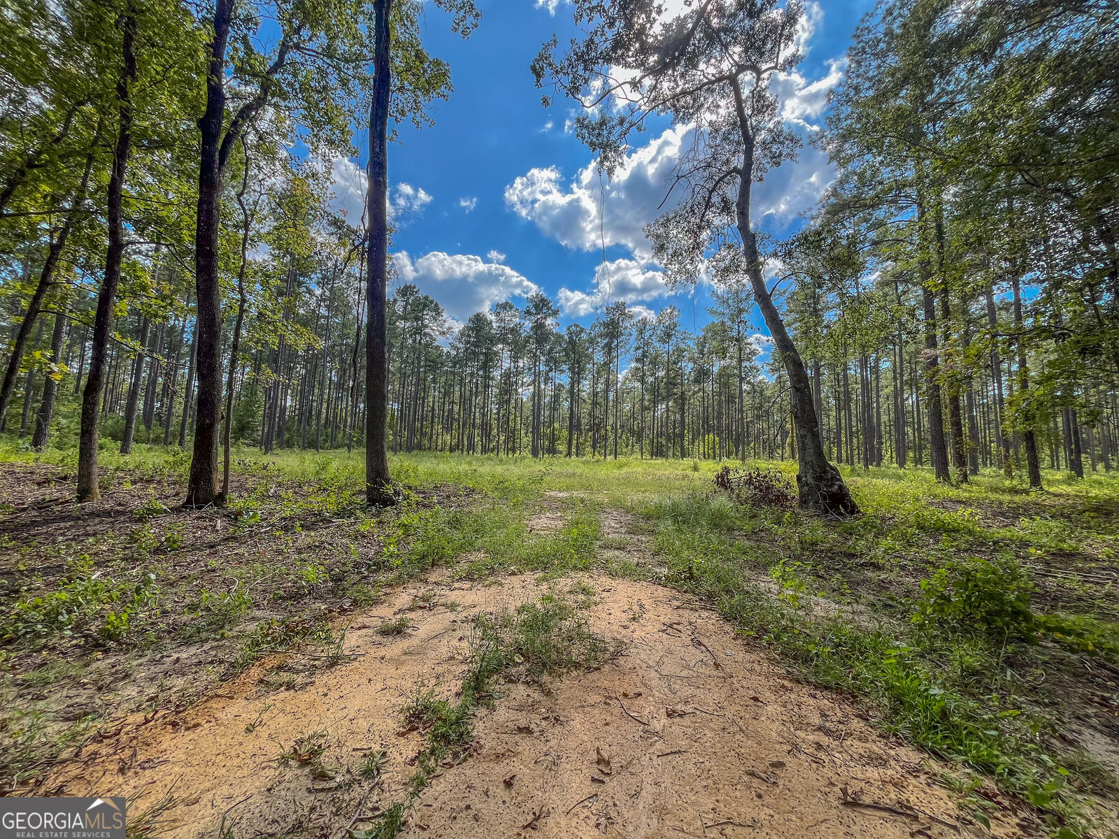 Property Photo:  0 Mark Wood Rd. Lot 2  GA 31019 