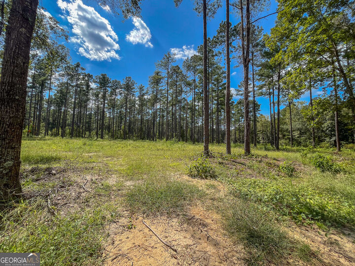 Property Photo:  0 0 Mark Wood Rd. Lot 1  GA 31019 