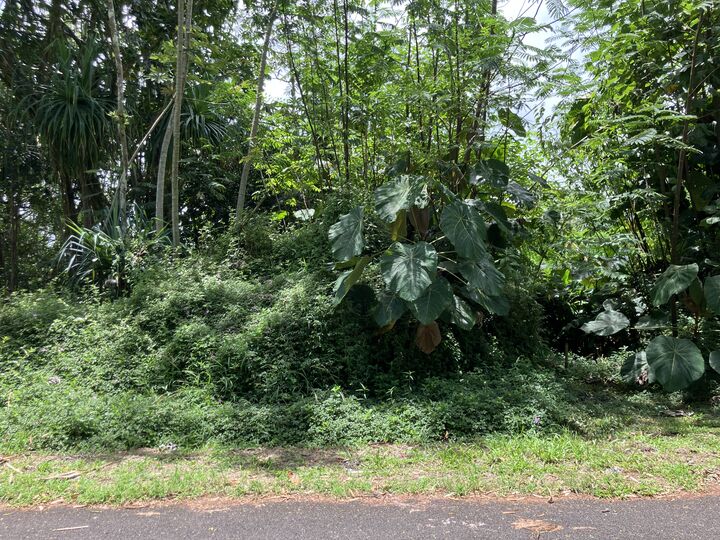 Property Photo:  Opakapaka St  HI 96778 