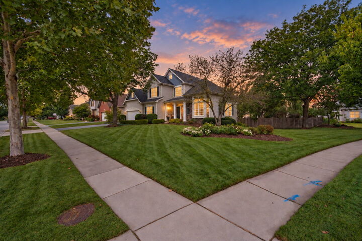 Property Photo: 2030 Tunbridge Trail IL 60102