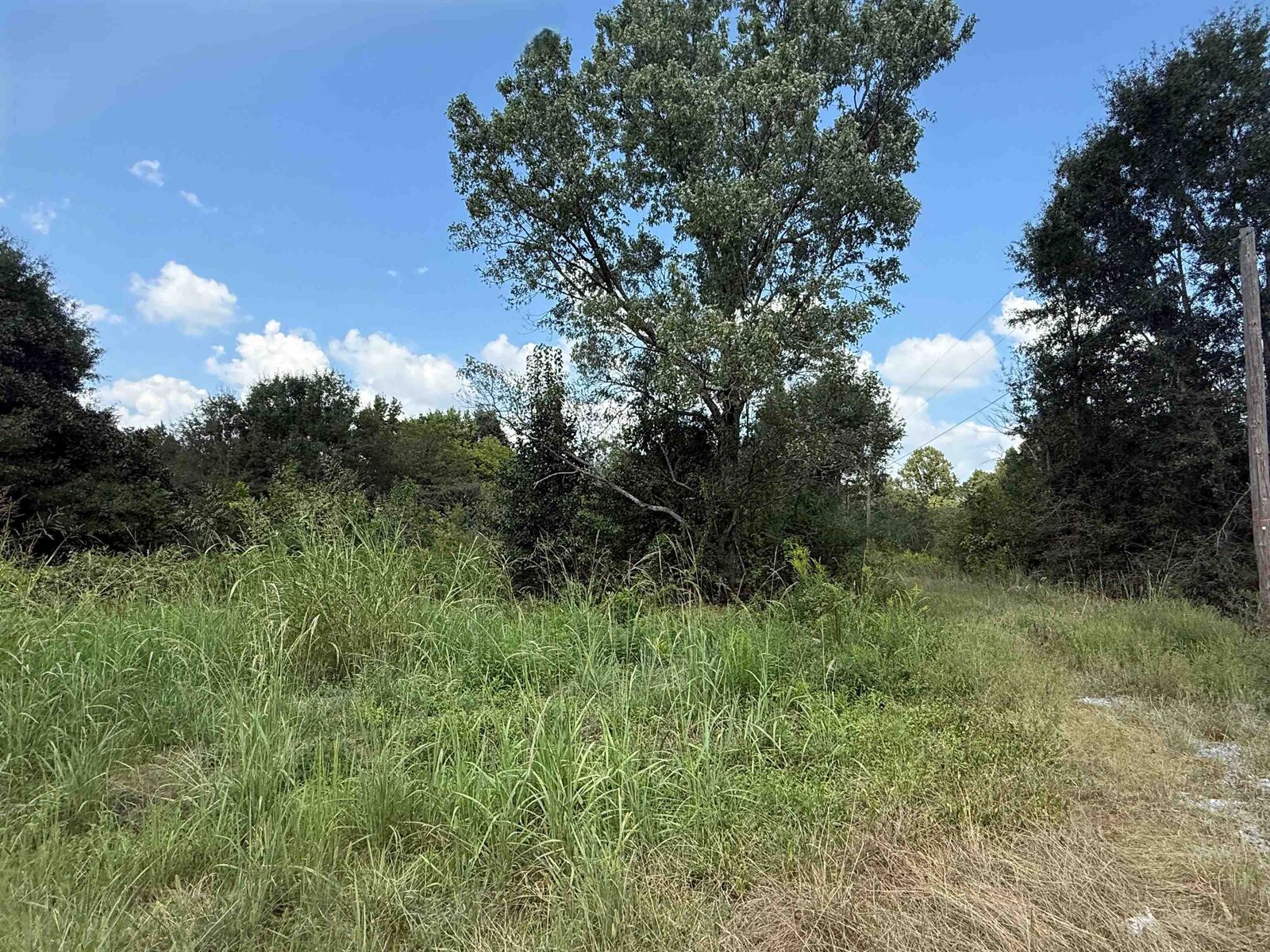 Property Photo:  4.6 Acres Hwy 278  AL 35055 