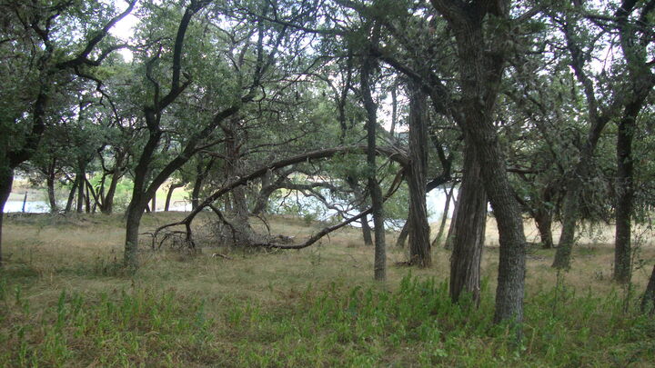 Property Photo: 6703 Bar K Ranch Road TX 78645