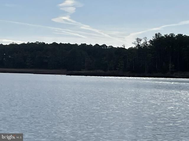 Property Photo:  0 Cassons Neck Road  MD 21613 