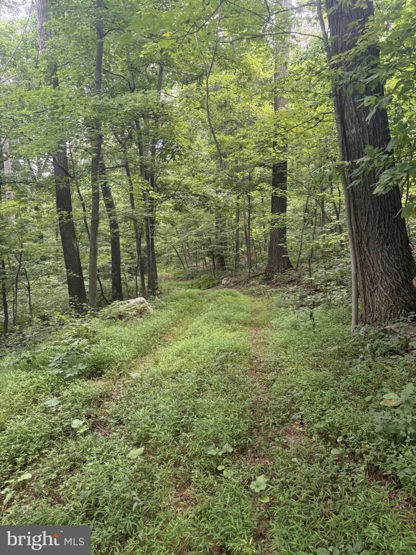 Property Photo:  Sundown Road  VA 22637 