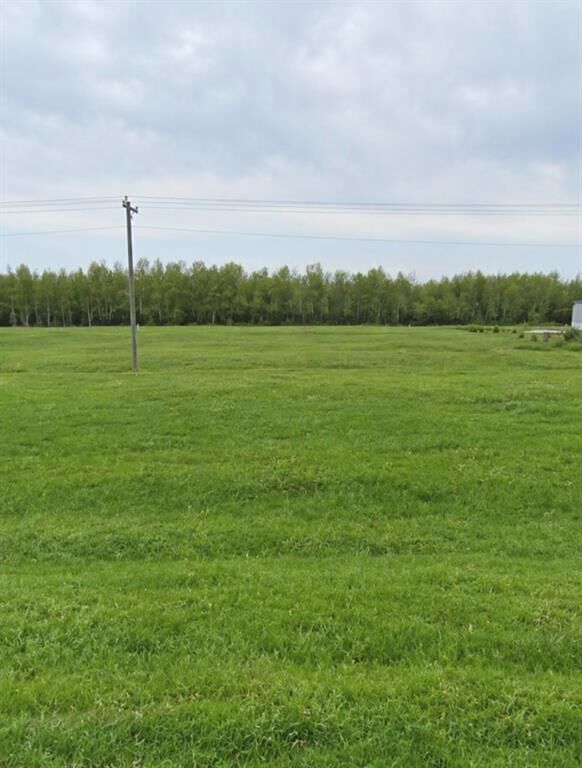 Property Photo:  117 Saskatchewan Avenue  MB R0J 0B0 