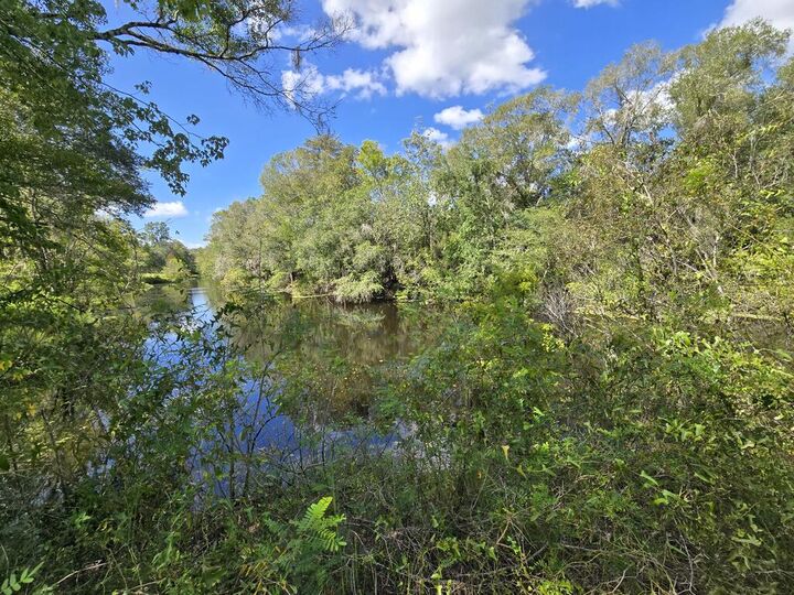 Property Photo:  2180 SE Hwy 317  FL 32680 