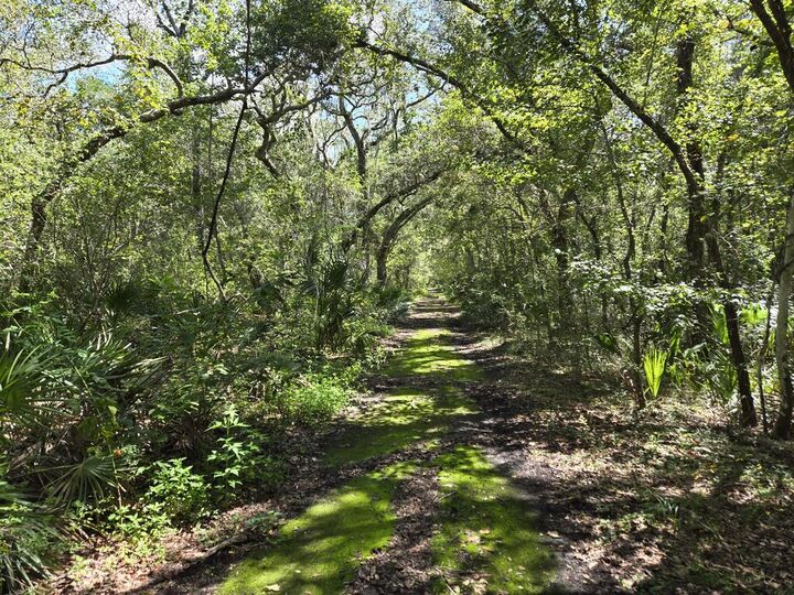 Property Photo:  Lot 35 SE 229 Ln  FL 32680 