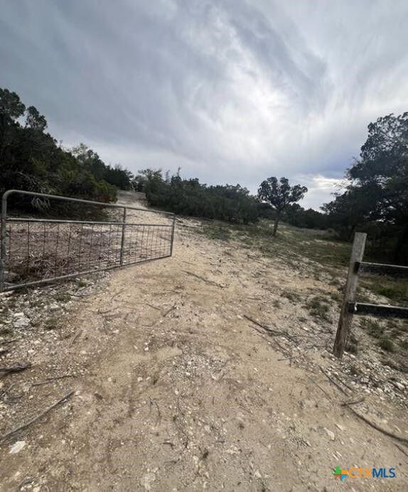 Property Photo:  19705 Tyler Trail  TX 78645 