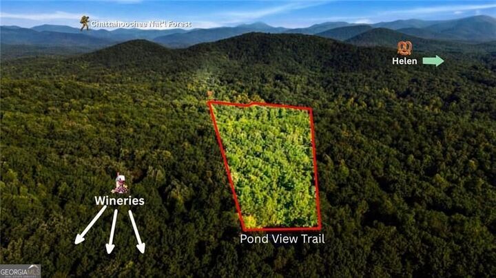 Property Photo: 0 Pond View Trail GA 30528