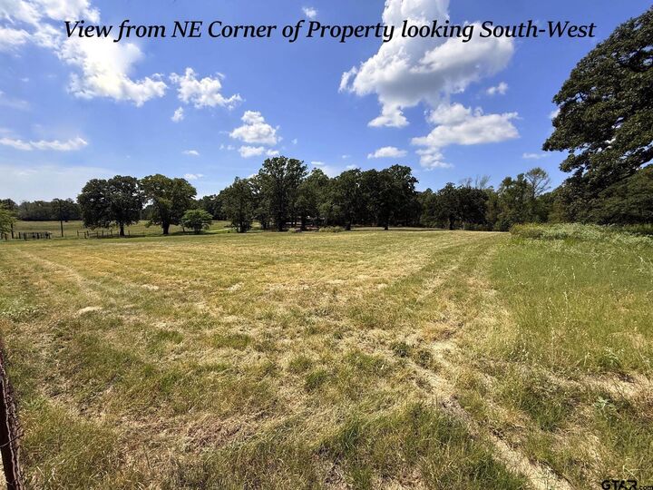 Property Photo:  13632 County Road 1180 (Blue Bird Lane)  TX 75762 