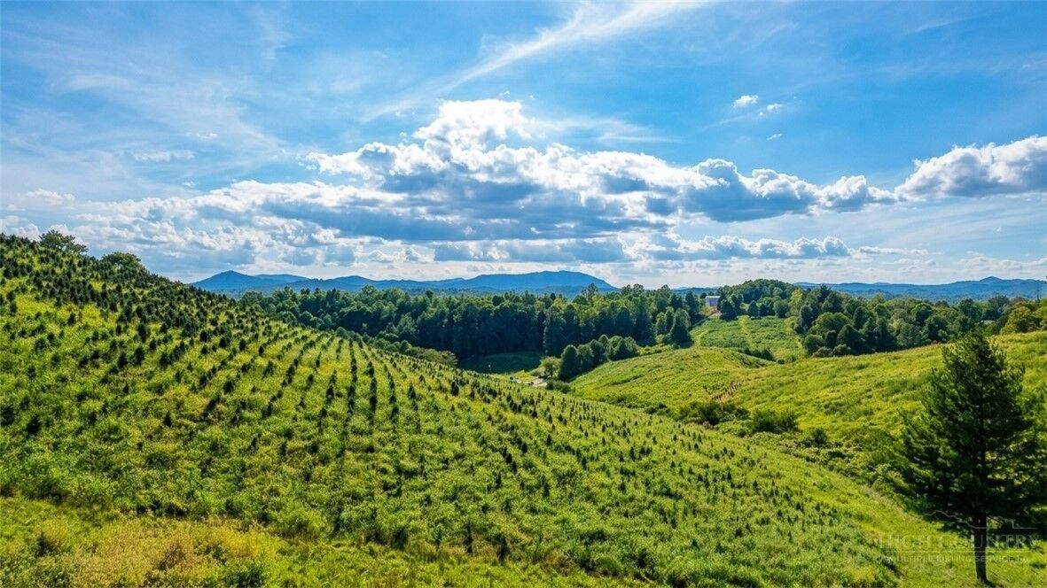 Property Photo: 1 Topia Road NC 28663