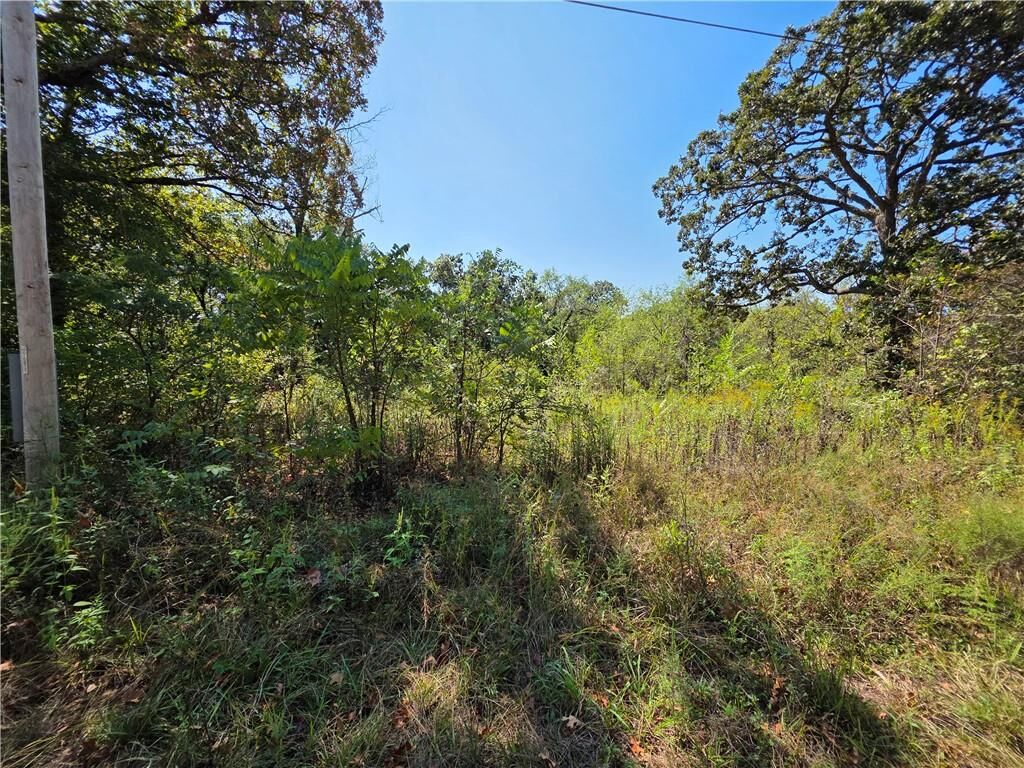 Property Photo:  000 E Abbott Road  MO 64783 