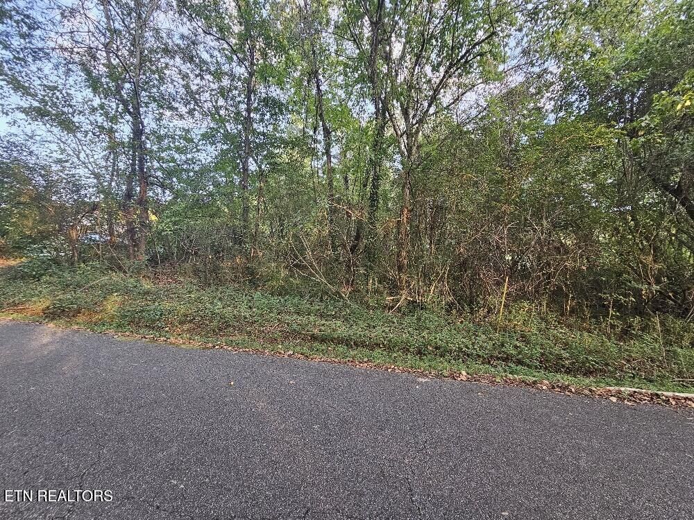 Property Photo:  Lot# 96 River Rd  TN 37763 