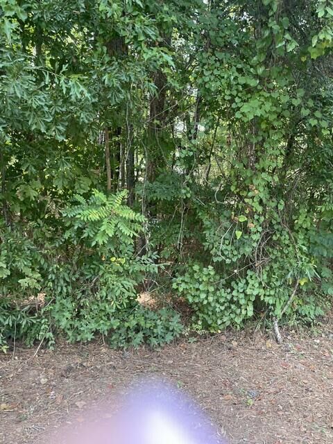 Property Photo: Lot 398 Little River Dr GA 31024