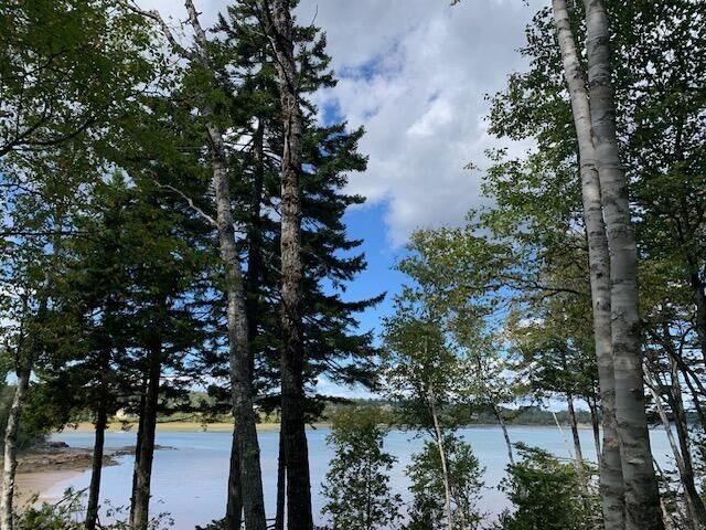 Property Photo:  Lot 56 Off Dunns Point  Way  ME 04655 