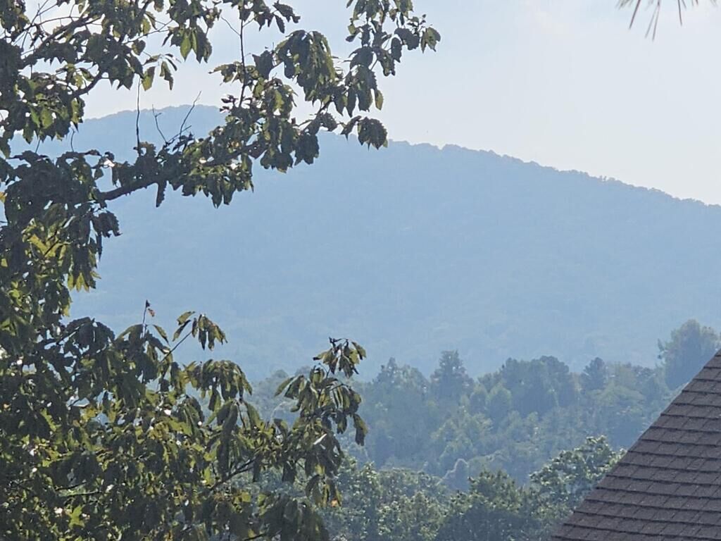 Property Photo:  Lot 76 Wildcat Drive  NC 28906 