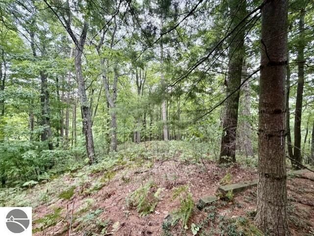 Property Photo:  35 Brook Hill Cottages  MI 49636 