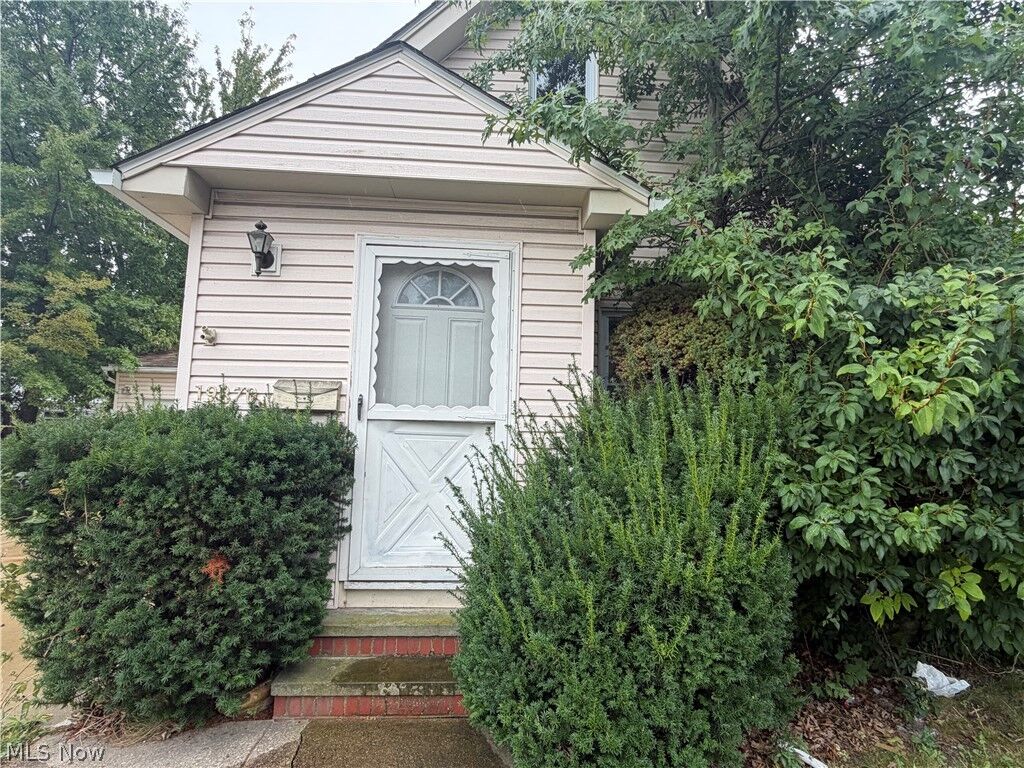 Property Photo: 19870 Pasnow Avenue OH 44119