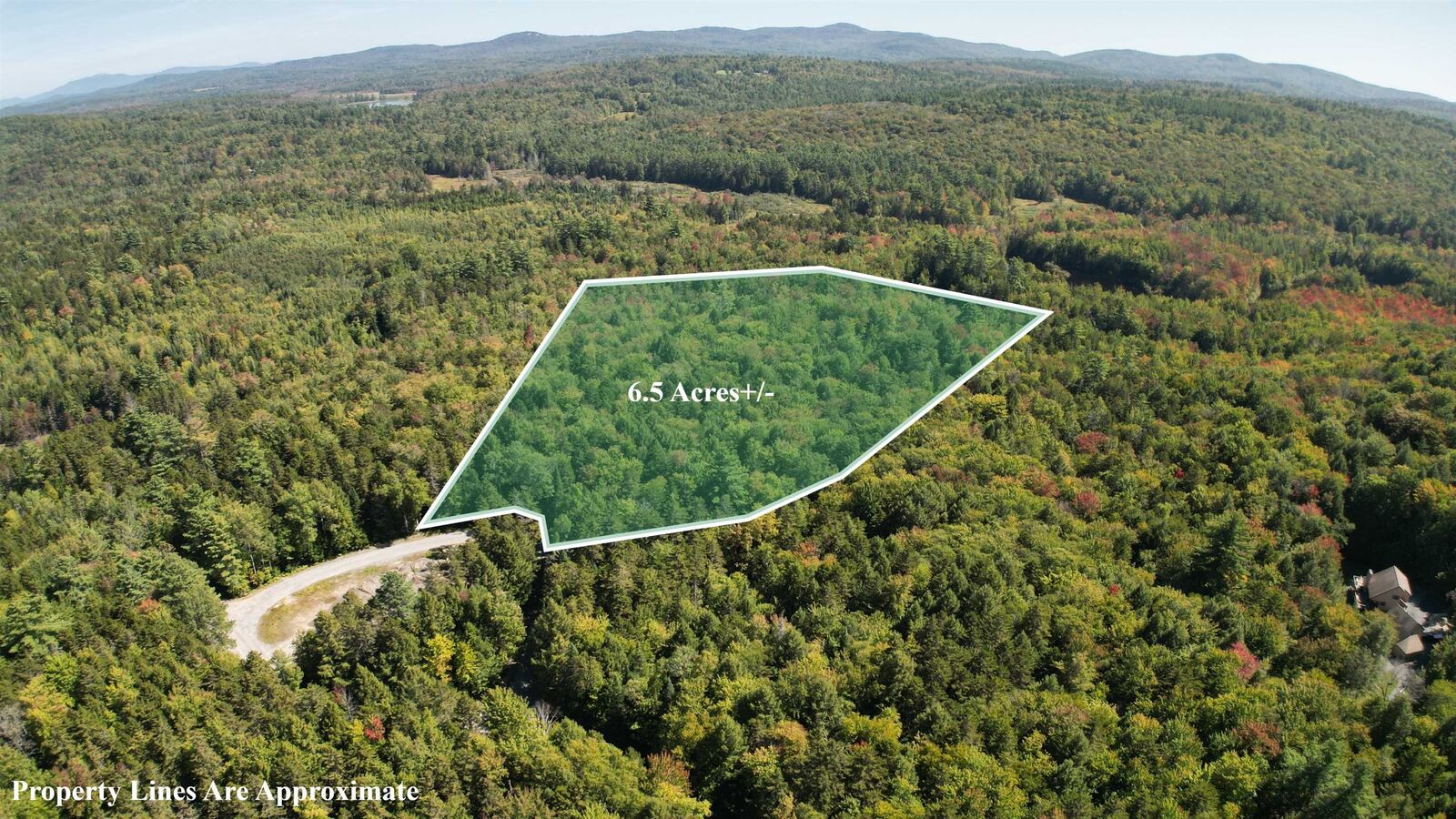 Property Photo:  38 Winding Wood Road  NH 03287 