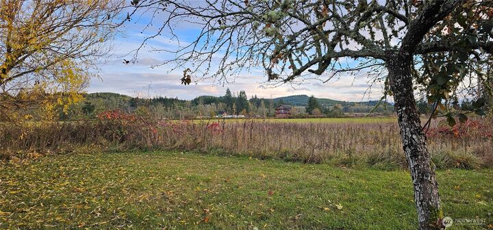 Property Photo: 581 Boistfort Rd WA 98538
