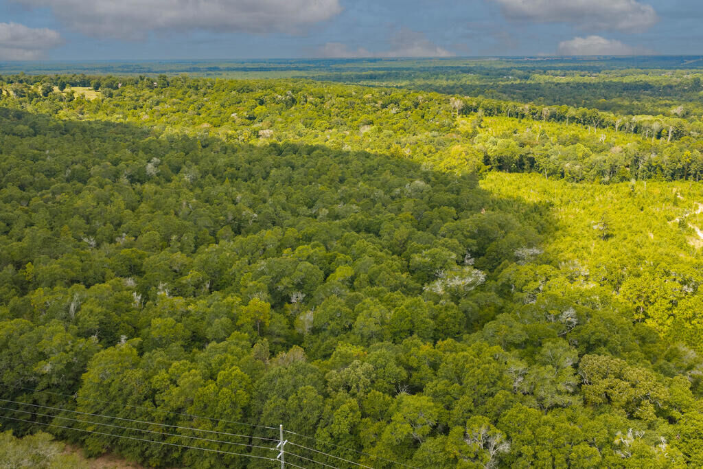 Property Photo: 0 Power Dam Road AL 36352