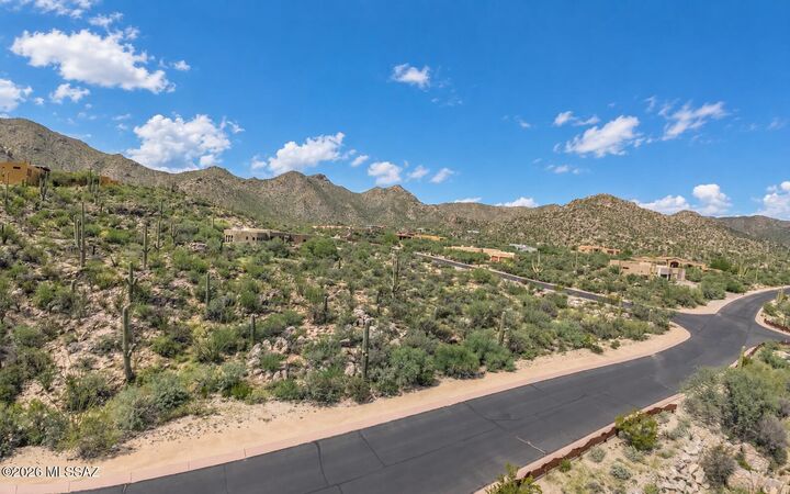 Property Photo:  15155 N Dove Canyon Pass 160  AZ 85658 