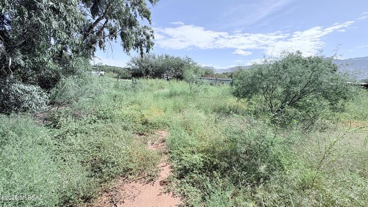 Property Photo:  3288 E Stallion Lane  AZ 85739 