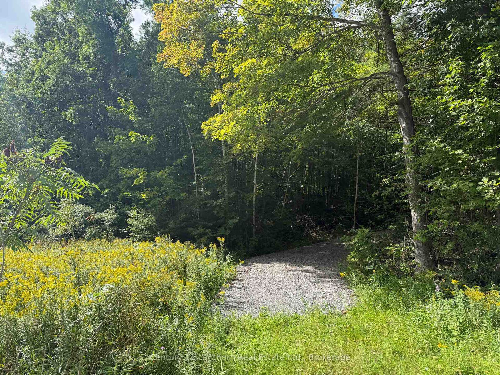 Property Photo:  00 South Lot Highway 62 N/A  ON K0K 2K0 