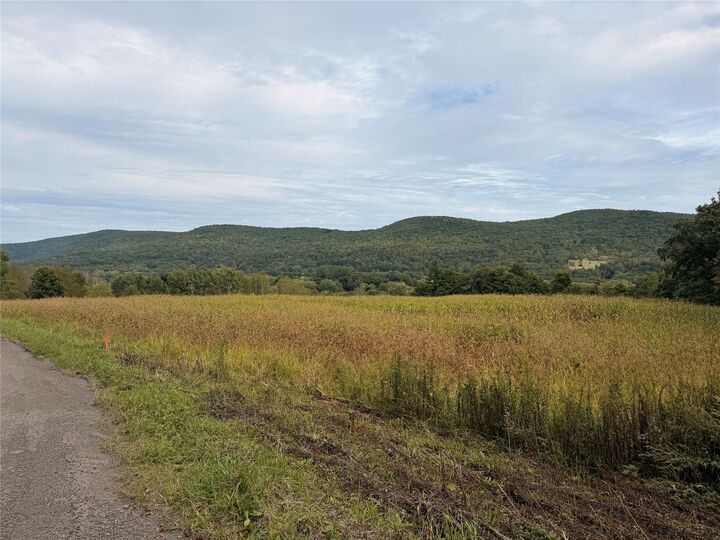 Property Photo:  267 State Route 79 Route  NY 13865 