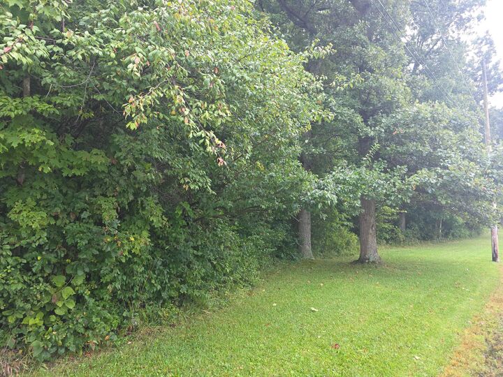 Property Photo:  5205 County Road 9  OH 43320 