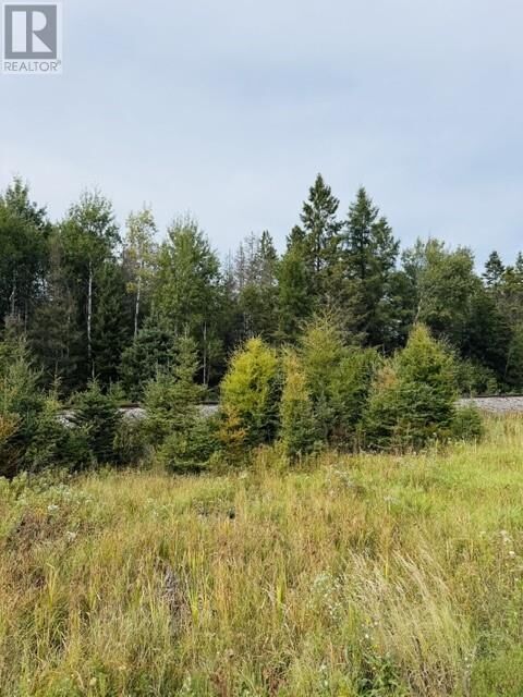Property Photo:  Pt Lot 8 Pcl 14599A Highway 17 East  ON P0P 1P0 