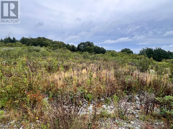 Property Photo:  Lot 6 Southside Place  NL A0A 1X0 