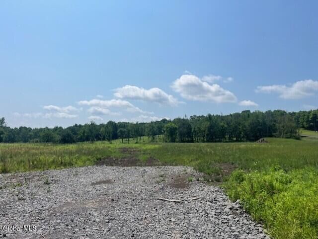 Property Photo:  184 Curry Hill Road  NY 12160 