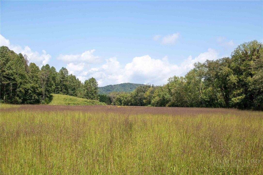 Property Photo: 3305 Zacks Fork Road NC 28645