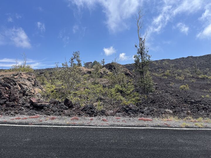 Property Photo: Koa Ln HI 96737